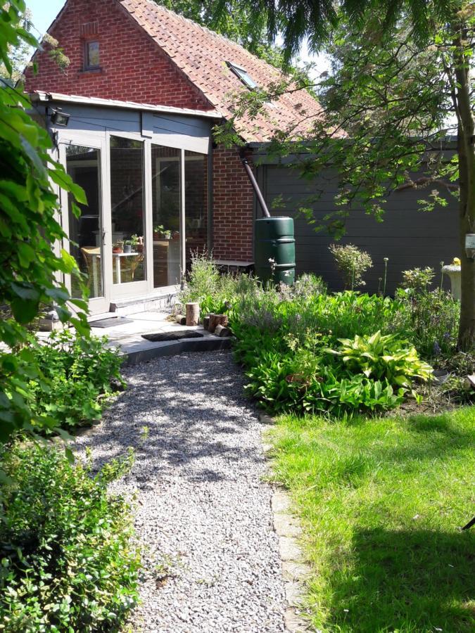Zoersel B&B 'T Gezellig Huizeke المظهر الخارجي الصورة