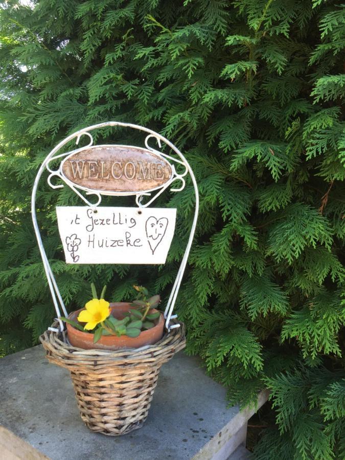 Zoersel B&B 'T Gezellig Huizeke المظهر الخارجي الصورة